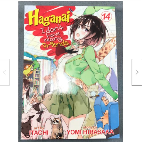 Haganai Dont Many Friends Vol 14 Manga Anime Book Teen+ English Hirasaka Itachi - Picture 1 of 2
